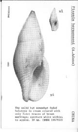 Click to enlarge