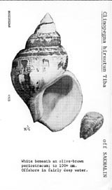 Click to enlarge