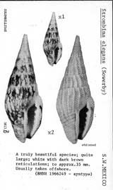 Click to enlarge