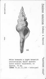 Click to enlarge