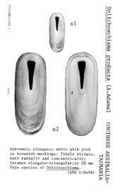 Click to enlarge