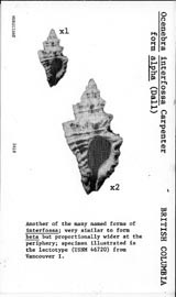 Click to enlarge