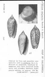 Click to enlarge
