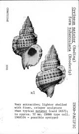 Click to enlarge
