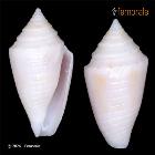 enlarge photo